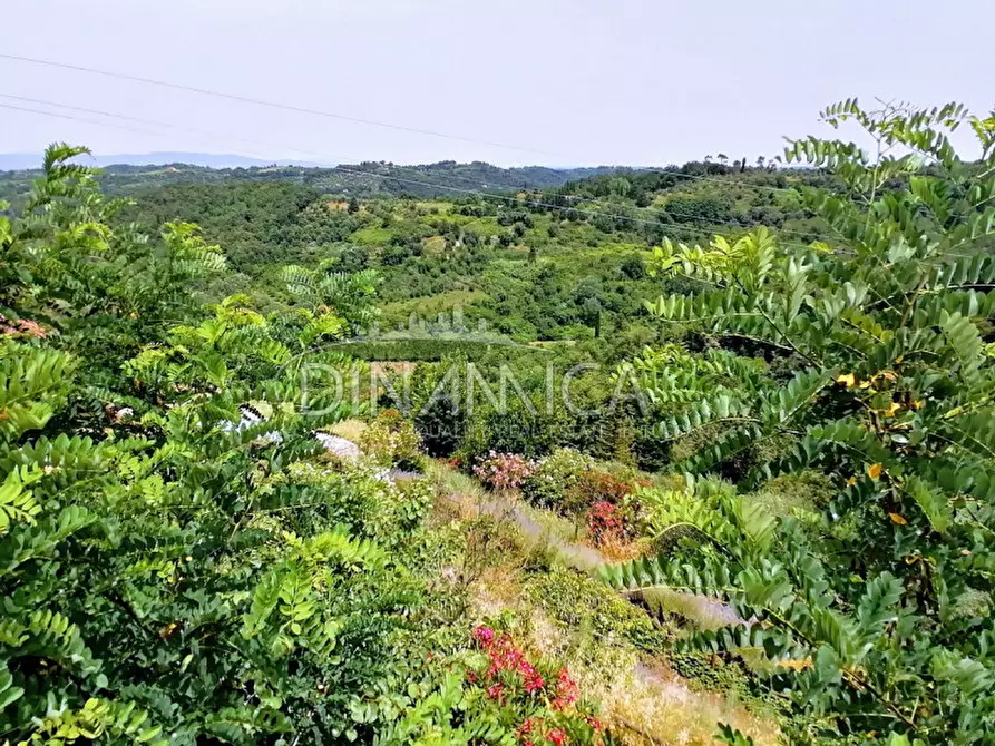 Immagine 48 di Villa in vendita  a Montopoli In Val D'arno