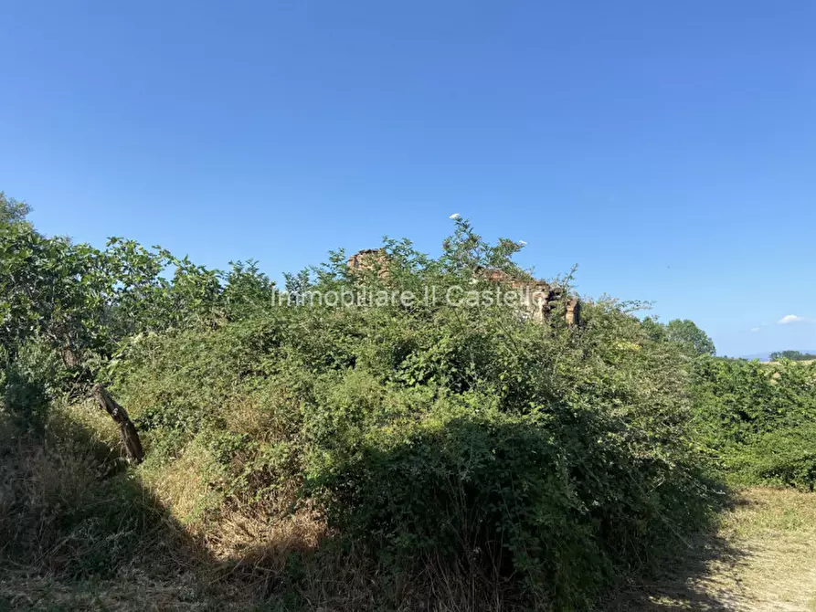 Immagine 21 di Rustico / casale in vendita  a Castiglione Del Lago