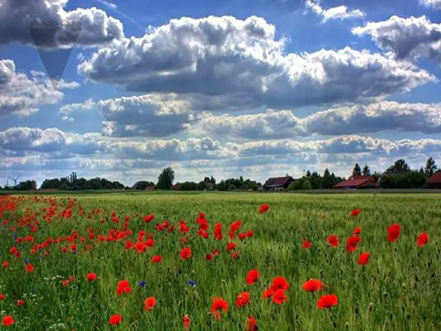 Immagine 1 di Terreno in vendita  a Legnaro