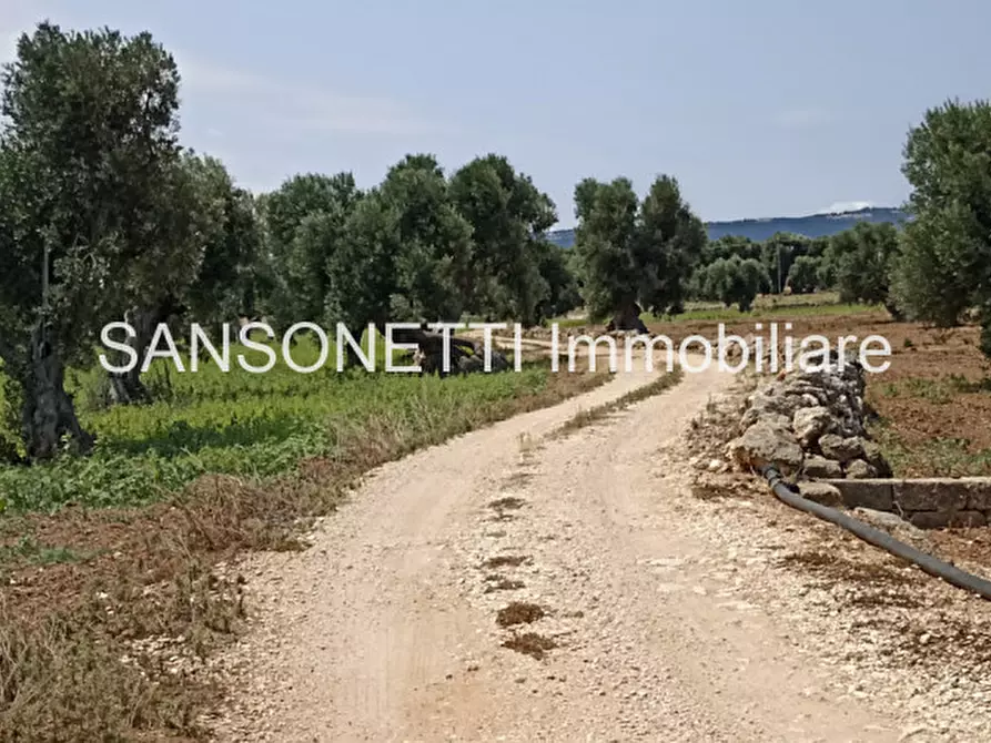 Immagine 35 di Rustico / casale in vendita  in FAGICO a Fasano