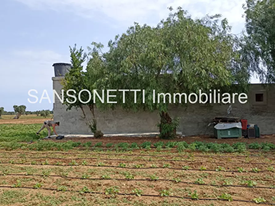 Immagine 45 di Rustico / casale in vendita  in FAGICO a Fasano