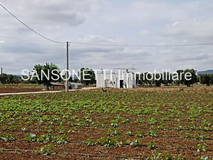 Immagine 47 di Rustico / casale in vendita  in FAGICO a Fasano