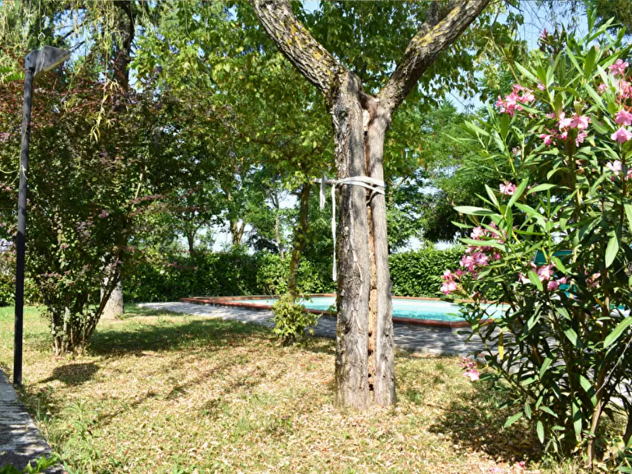 Immagine 116 di Casa trifamiliare in vendita  in Strada Le Mole a Neviano Degli Arduini