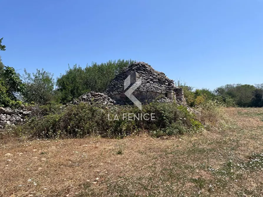 Immagine 4 di Rustico / casale in vendita  in strada madonna del pozzo a Martina Franca