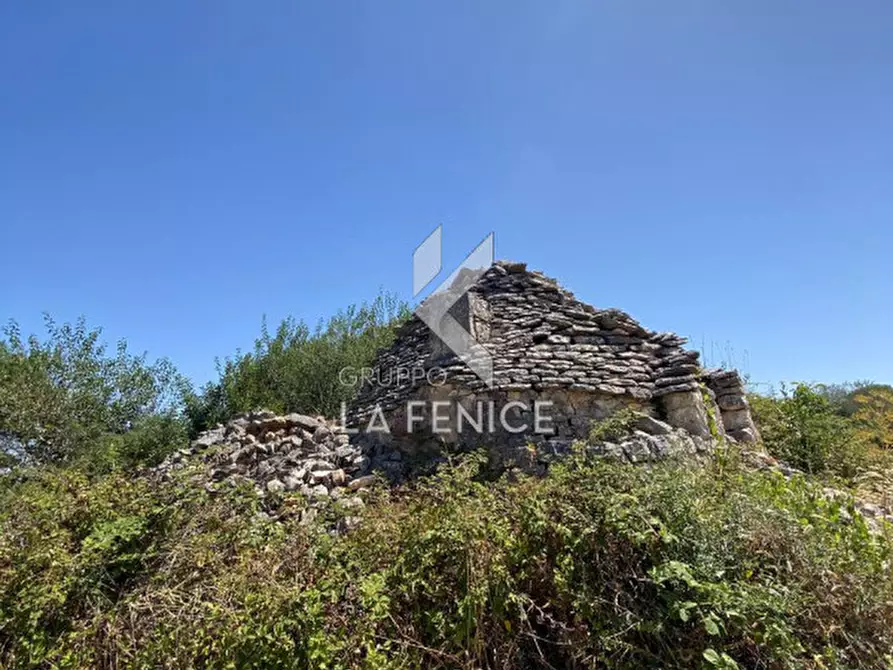 Immagine 5 di Rustico / casale in vendita  in strada madonna del pozzo a Martina Franca