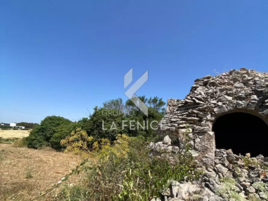 Immagine 6 di Rustico / casale in vendita  in strada madonna del pozzo a Martina Franca