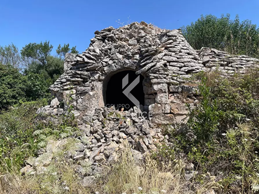 Immagine 7 di Rustico / casale in vendita  in strada madonna del pozzo a Martina Franca