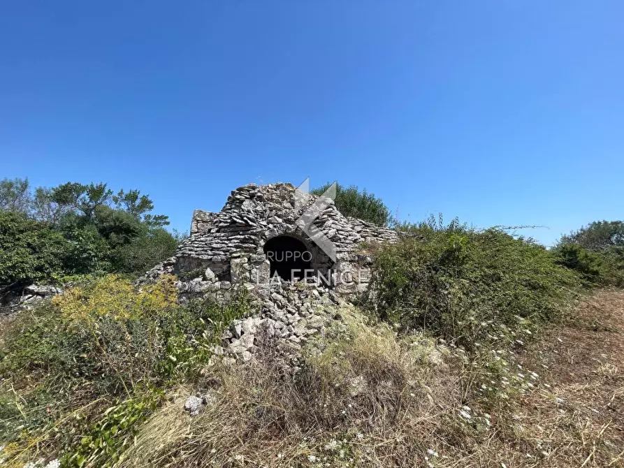 Immagine 8 di Rustico / casale in vendita  in strada madonna del pozzo a Martina Franca