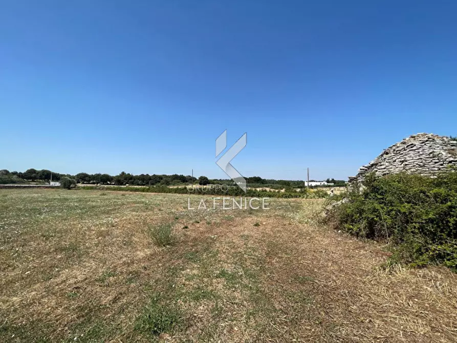 Immagine 9 di Rustico / casale in vendita  in strada madonna del pozzo a Martina Franca