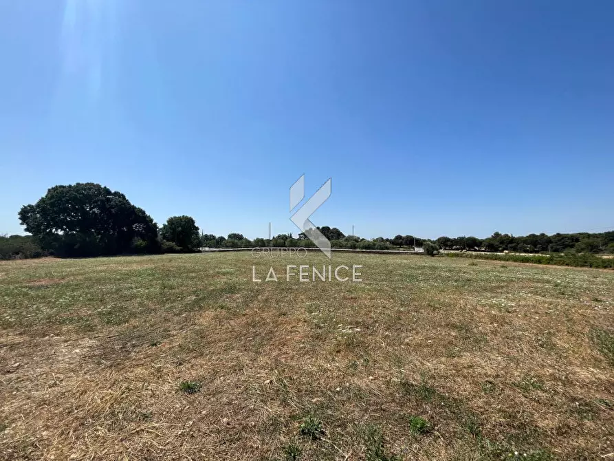 Immagine 10 di Rustico / casale in vendita  in strada madonna del pozzo a Martina Franca
