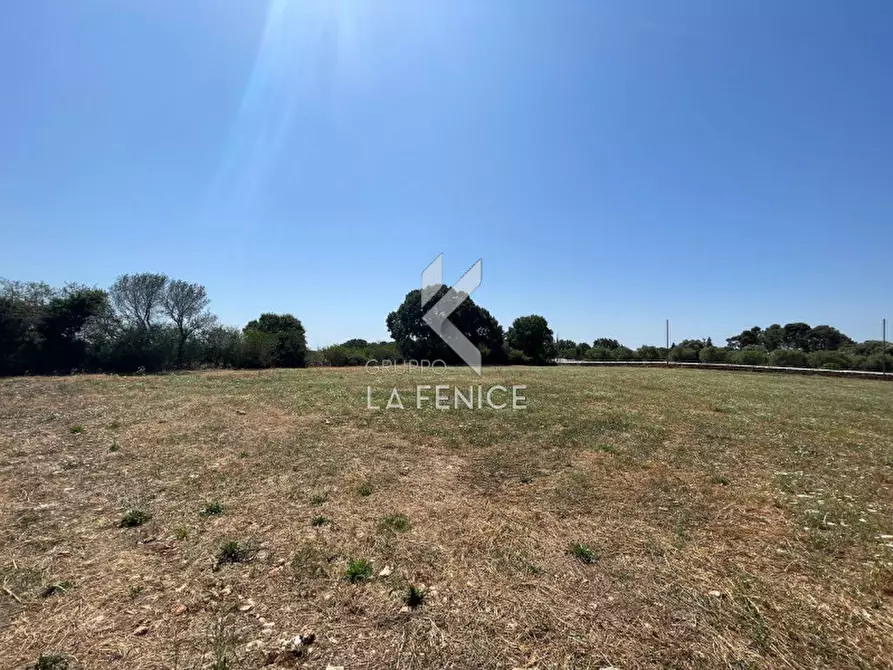 Immagine 11 di Rustico / casale in vendita  in strada madonna del pozzo a Martina Franca