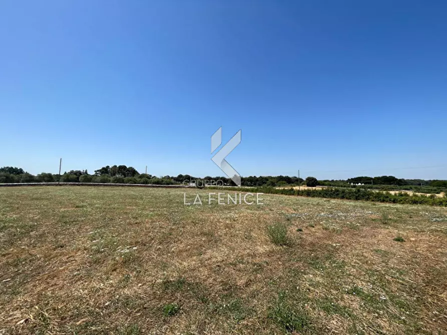 Immagine 12 di Rustico / casale in vendita  in strada madonna del pozzo a Martina Franca