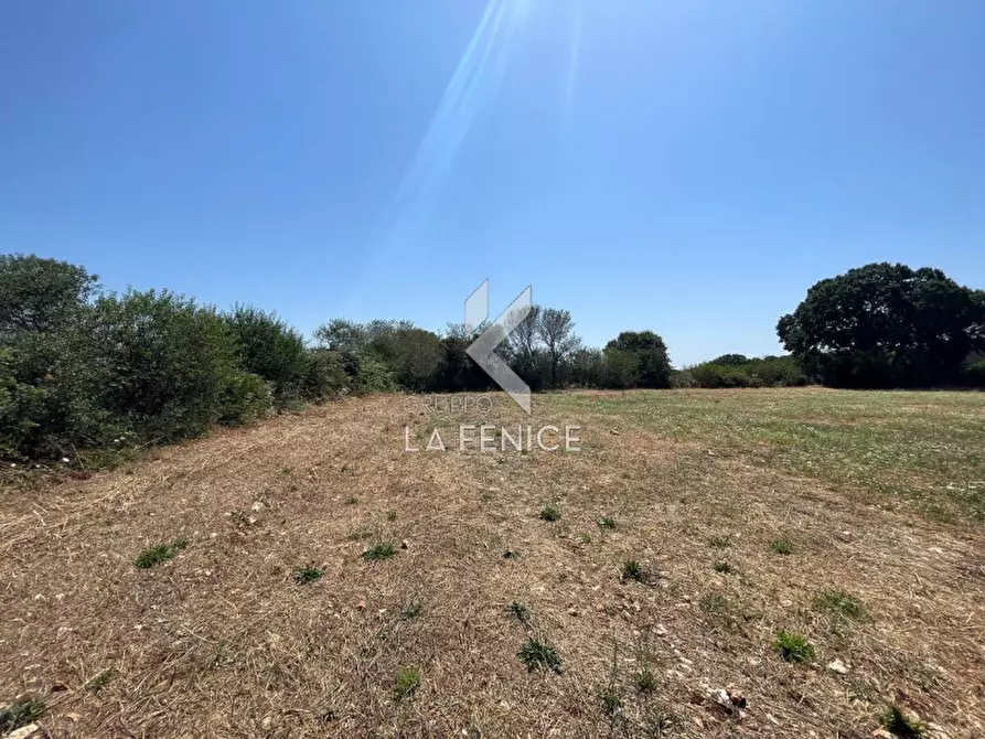 Immagine 13 di Rustico / casale in vendita  in strada madonna del pozzo a Martina Franca