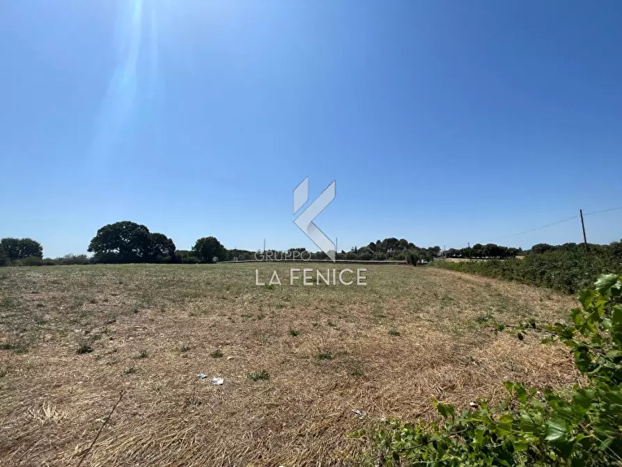 Immagine 14 di Rustico / casale in vendita  in strada madonna del pozzo a Martina Franca