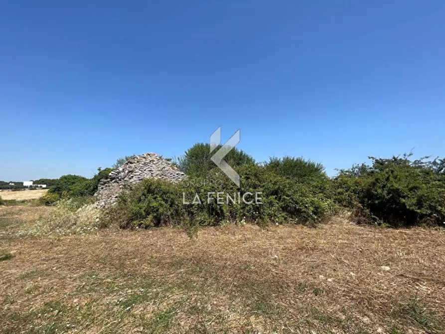 Immagine 15 di Rustico / casale in vendita  in strada madonna del pozzo a Martina Franca