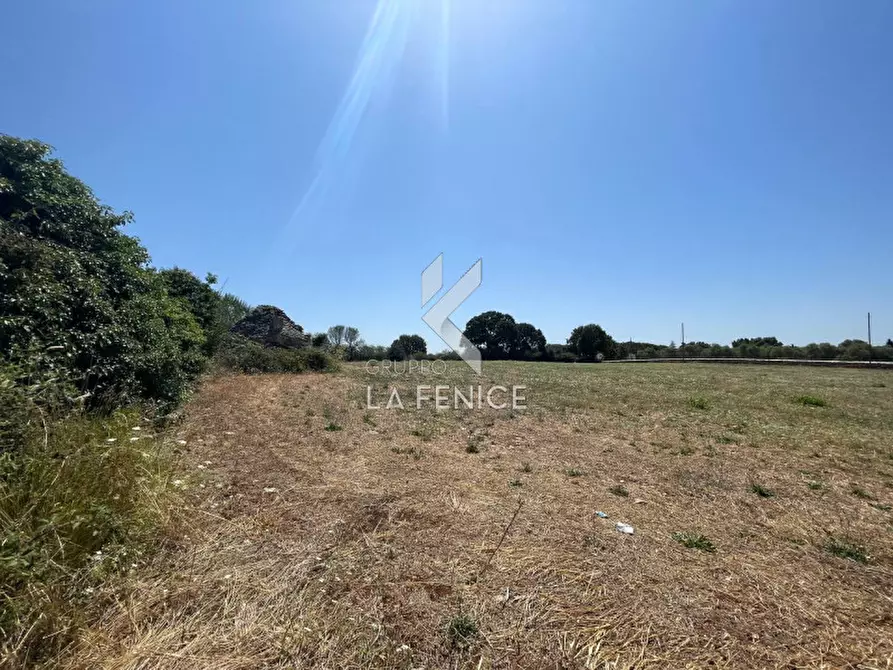 Immagine 16 di Rustico / casale in vendita  in strada madonna del pozzo a Martina Franca