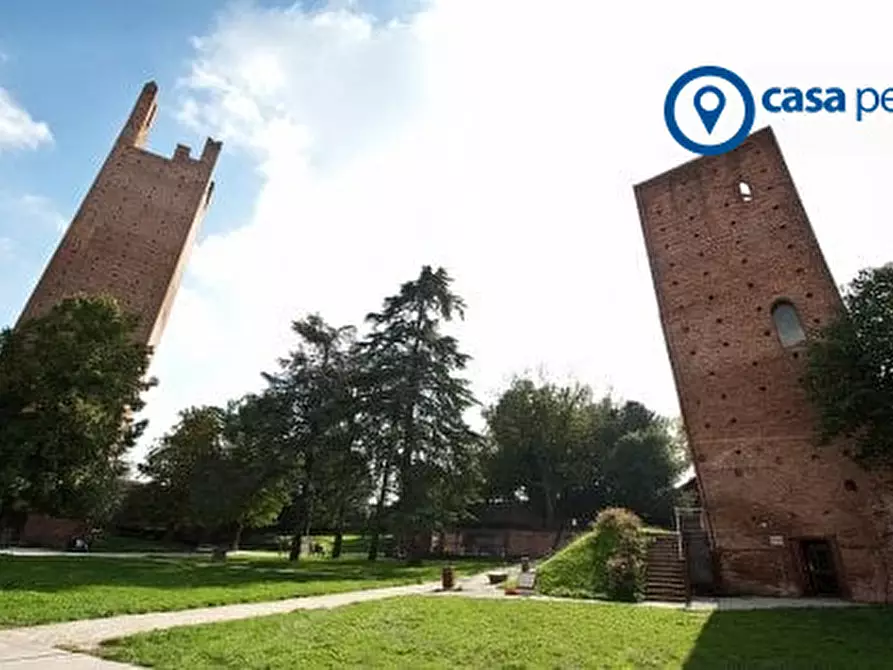 Immagine 56 di Villa in vendita  in Piazzale Lionello Caffaratti 11 a Rovigo