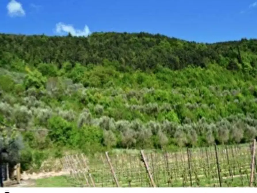 Immagine 1 di Terreno in vendita  a Tregnago