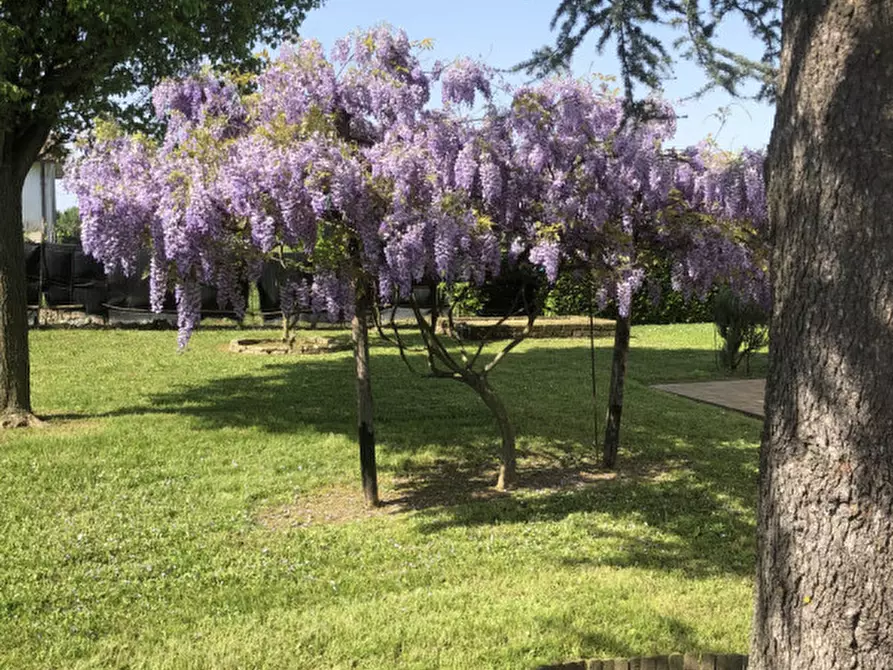 Immagine 59 di Villa in vendita  in via boschi a Montegalda