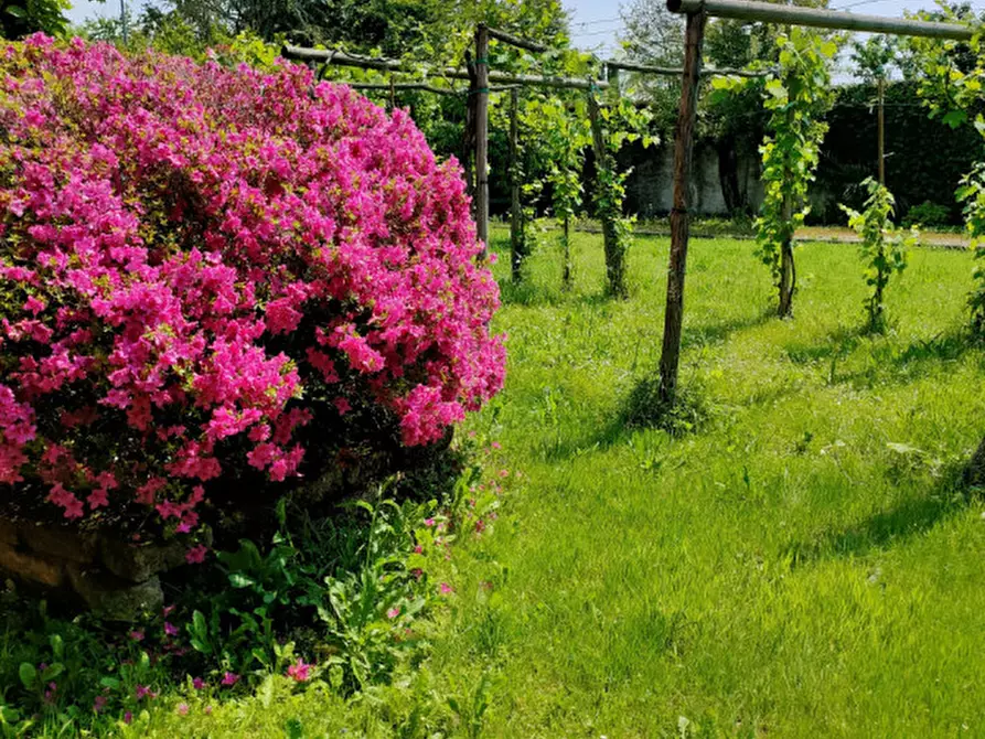 Immagine 3 di Rustico / casale in vendita  in Sedegliano a Sedegliano