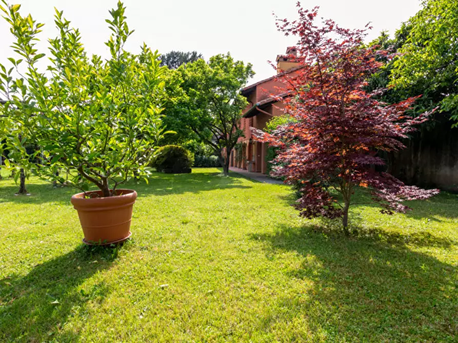 Immagine 15 di Rustico / casale in vendita  in Sedegliano a Sedegliano