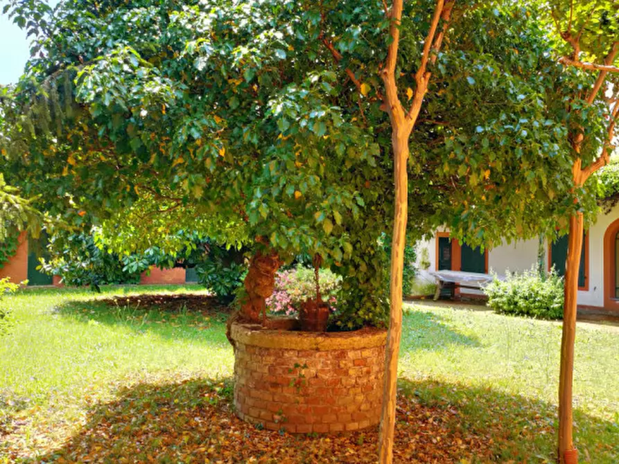 Immagine 28 di Rustico / casale in vendita  in Sedegliano a Sedegliano