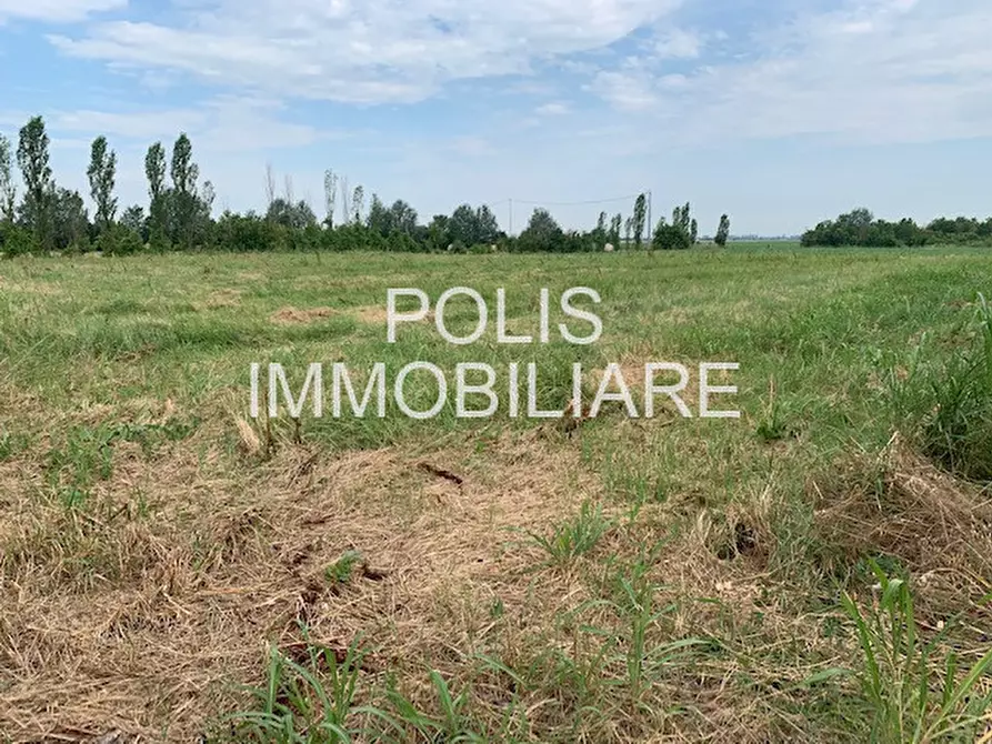 Immagine 2 di Terreno in vendita  in VIA CRISTINA TRIVULZIO DI BELGIOIOSO a Mirandola