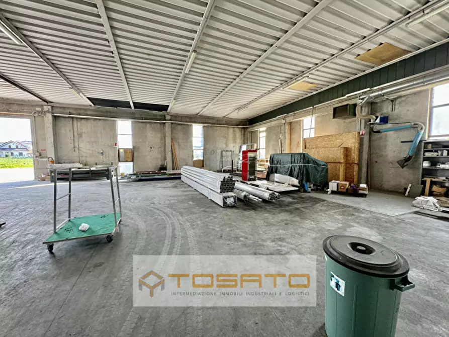 Immagine 3 di Capannone industriale in vendita  a Angiari