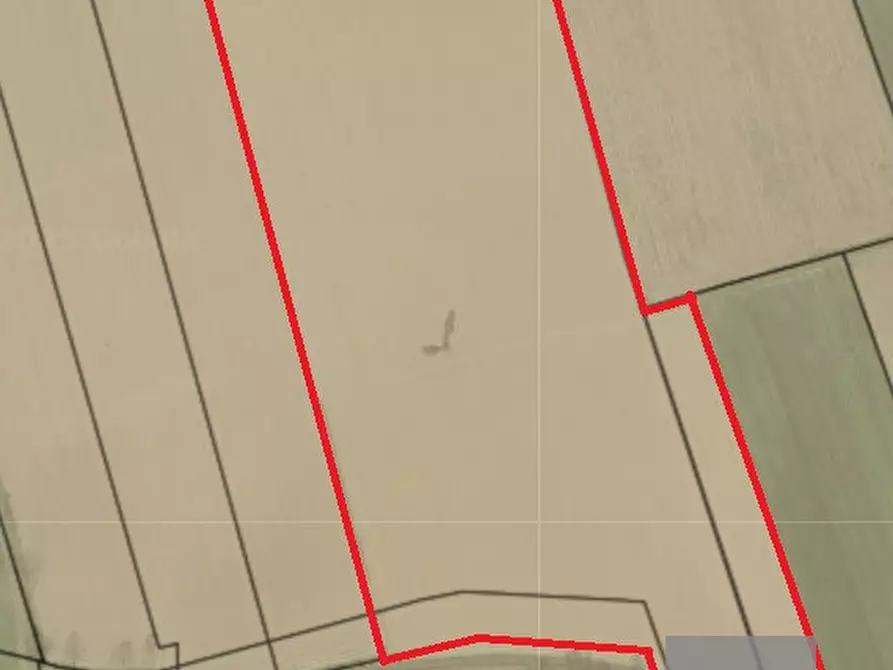 Immagine 2 di Terreno in vendita  a Cittadella