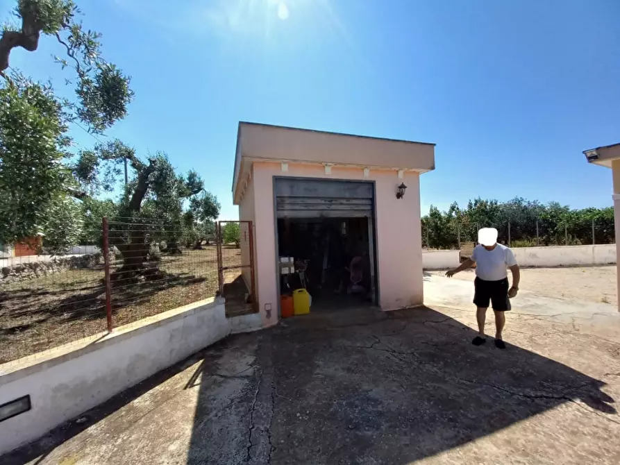 Immagine 4 di Villa in vendita  in C.da Certosa a Ostuni