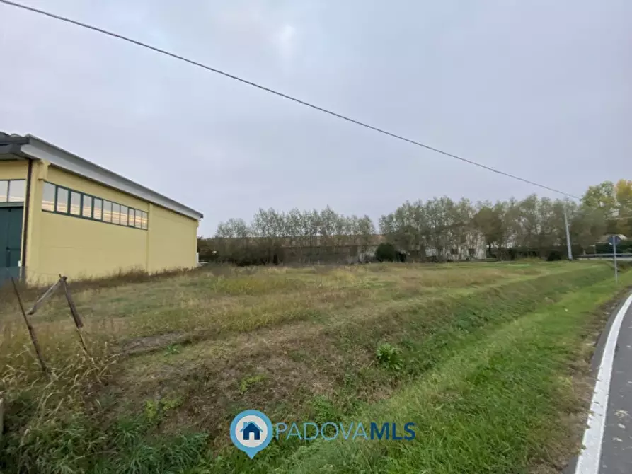 Immagine 2 di Terreno in vendita  in Via San Mauro a Casalserugo