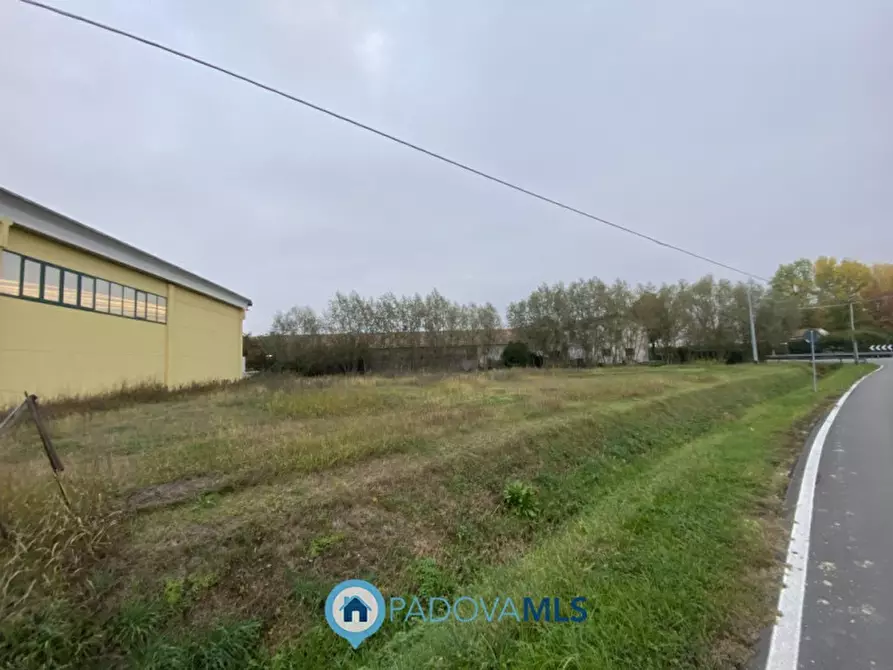 Immagine 3 di Terreno in vendita  in Via San Mauro a Casalserugo