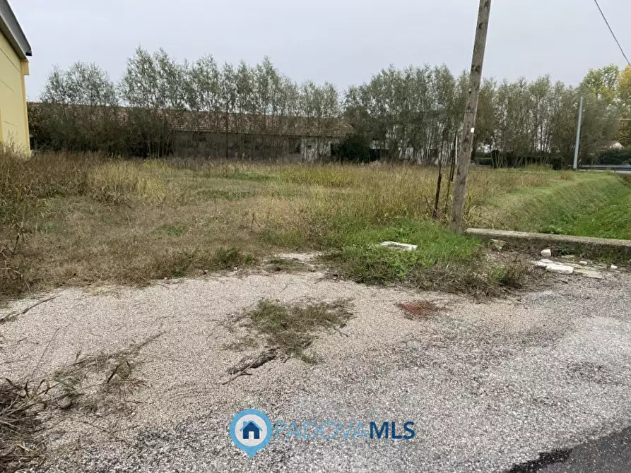 Immagine 4 di Terreno in vendita  in Via San Mauro a Casalserugo