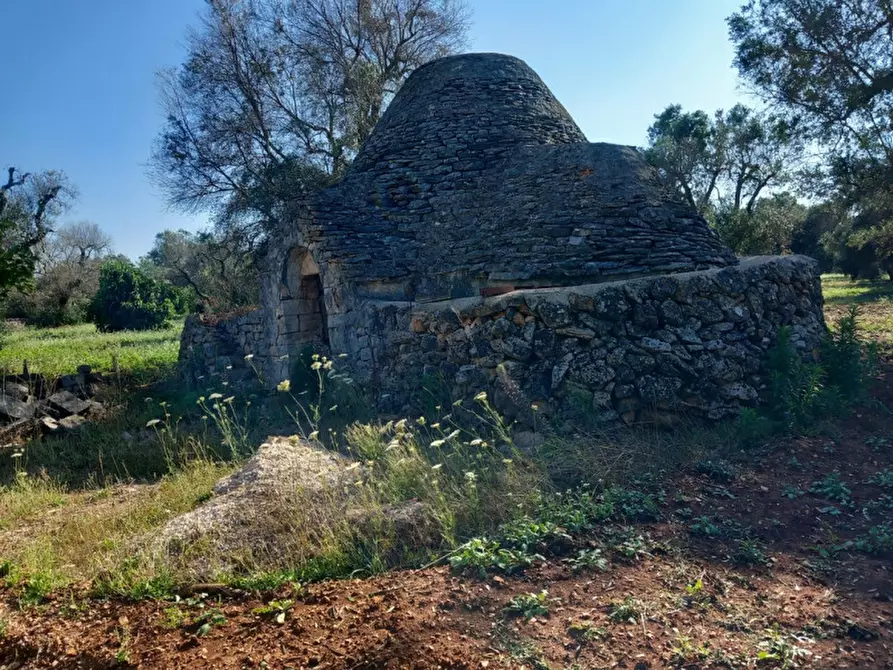 Immagine 20 di Rustico / casale in vendita  in C.da Votano Russo a Ceglie Messapico