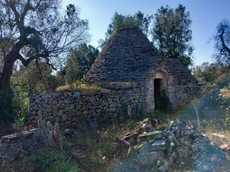 Immagine 22 di Rustico / casale in vendita  in C.da Votano Russo a Ceglie Messapico
