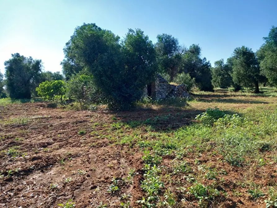 Immagine 23 di Rustico / casale in vendita  in C.da Votano Russo a Ceglie Messapico