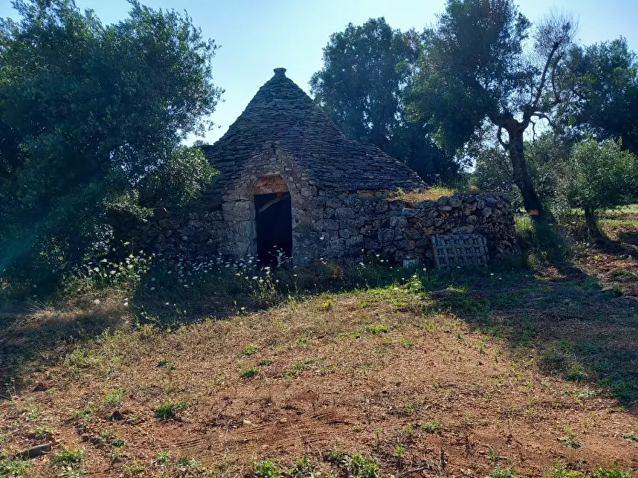 Immagine 24 di Rustico / casale in vendita  in C.da Votano Russo a Ceglie Messapico