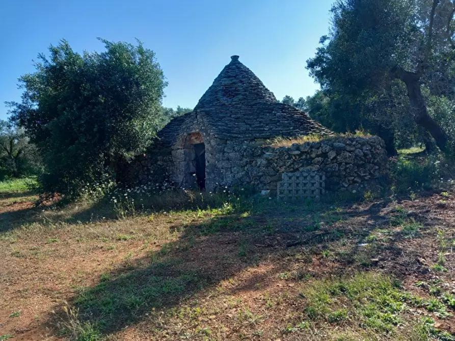 Immagine 25 di Rustico / casale in vendita  in C.da Votano Russo a Ceglie Messapico