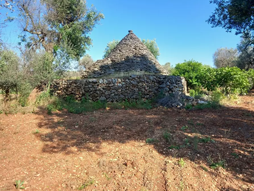 Immagine 26 di Rustico / casale in vendita  in C.da Votano Russo a Ceglie Messapico