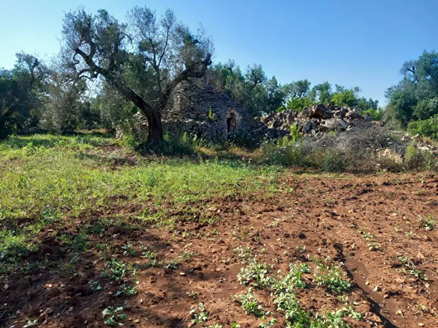Immagine 27 di Rustico / casale in vendita  in C.da Votano Russo a Ceglie Messapico