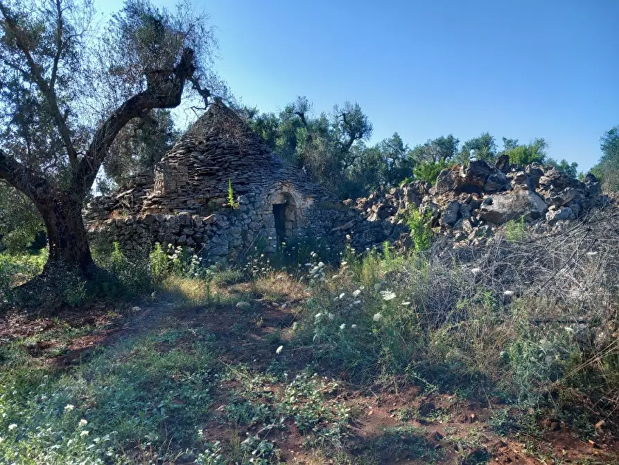 Immagine 28 di Rustico / casale in vendita  in C.da Votano Russo a Ceglie Messapico