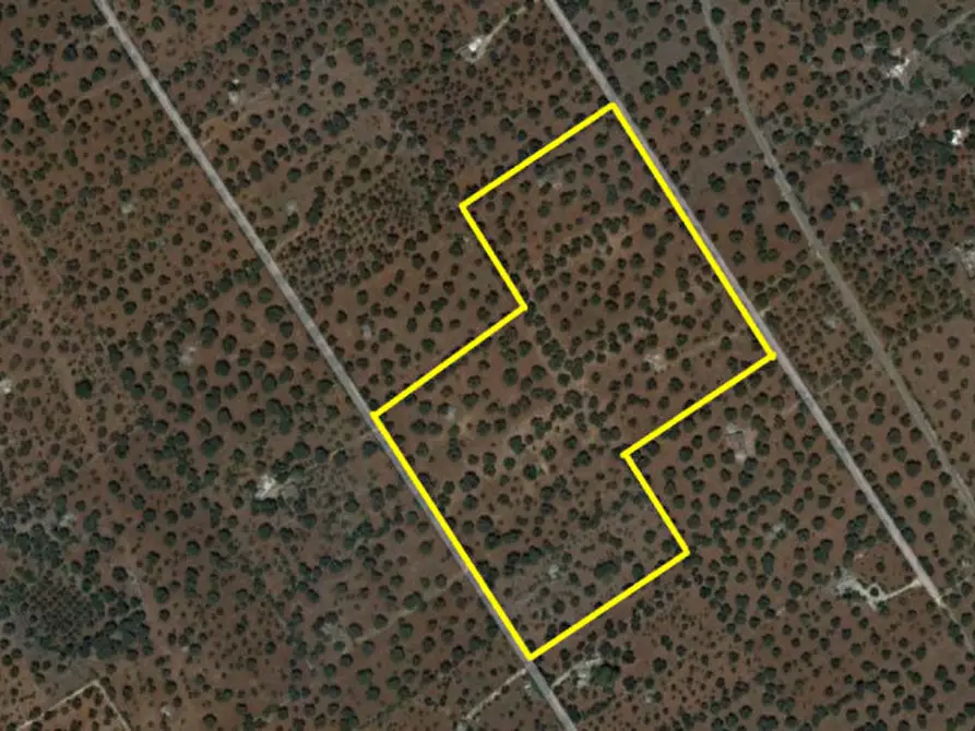 Immagine 30 di Rustico / casale in vendita  in C.da Votano Russo a Ceglie Messapico