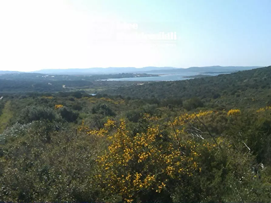 Immagine 9 di Terreno in vendita  in palau a Palau