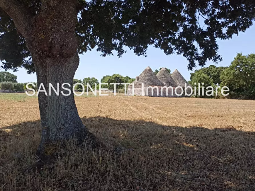 Immagine 4 di Rustico / casale in vendita  in CELLA a Monopoli