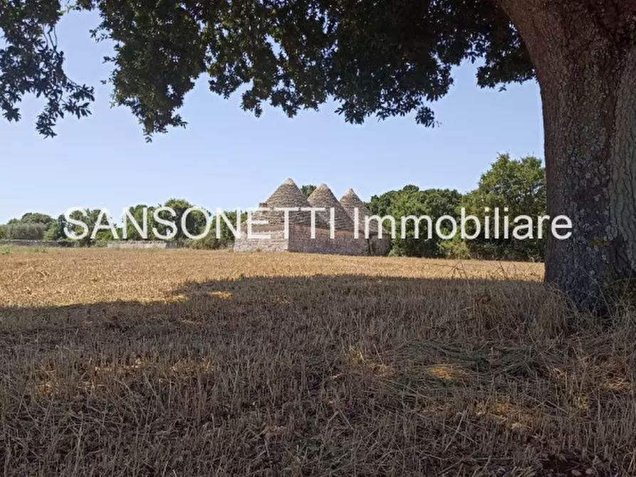 Immagine 5 di Rustico / casale in vendita  in CELLA a Monopoli