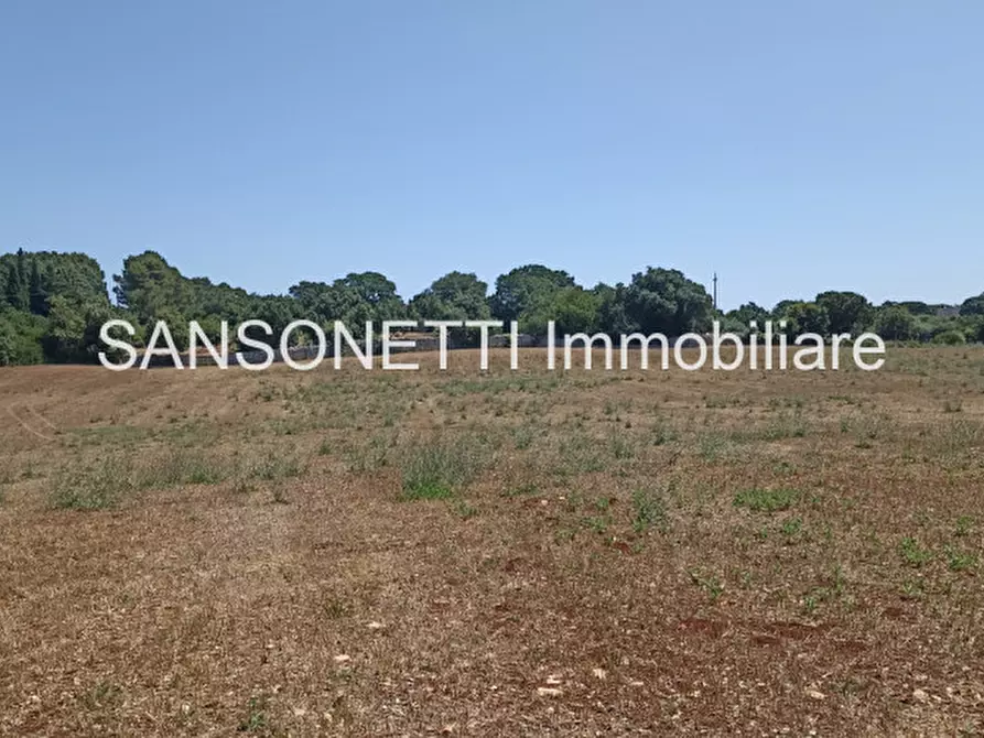 Immagine 11 di Rustico / casale in vendita  in CELLA a Monopoli
