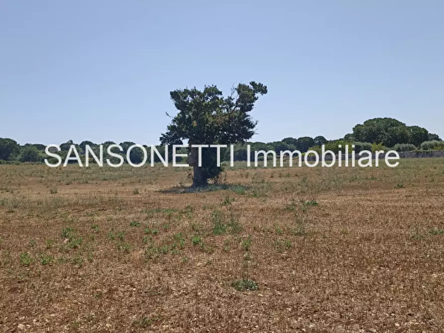 Immagine 12 di Rustico / casale in vendita  in CELLA a Monopoli