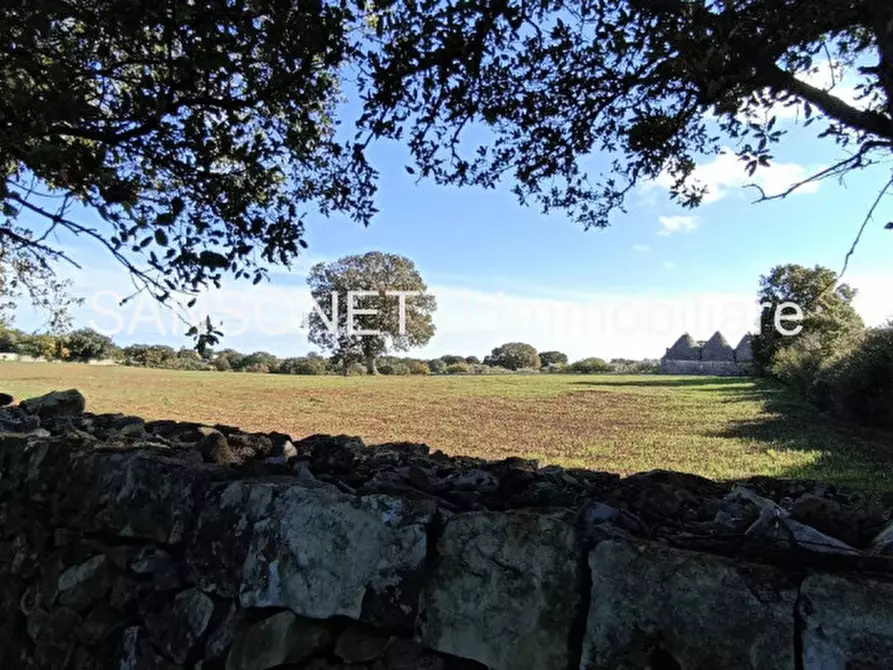 Immagine 17 di Rustico / casale in vendita  in CELLA a Monopoli