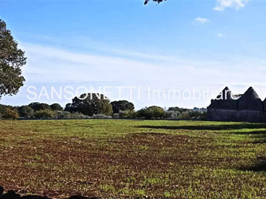 Immagine 18 di Rustico / casale in vendita  in CELLA a Monopoli