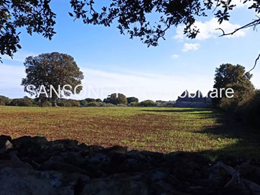 Immagine 19 di Rustico / casale in vendita  in CELLA a Monopoli